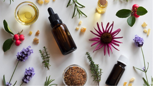 Which natural oils are best to use for your skin?